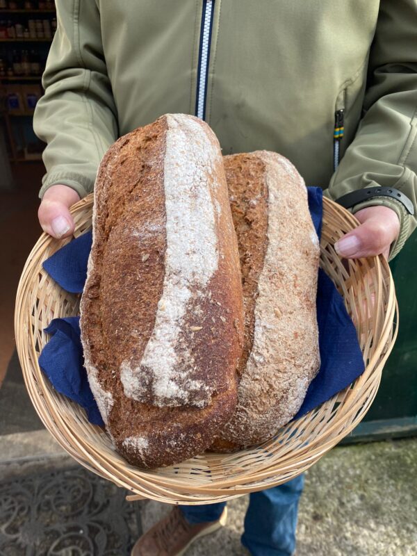 Oogstbrood