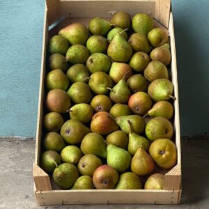 Peren