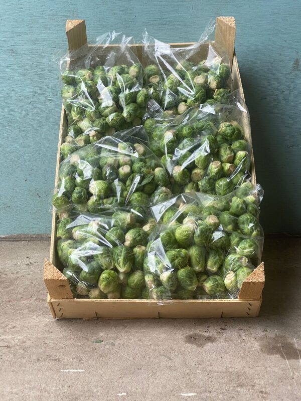 Spruitjes