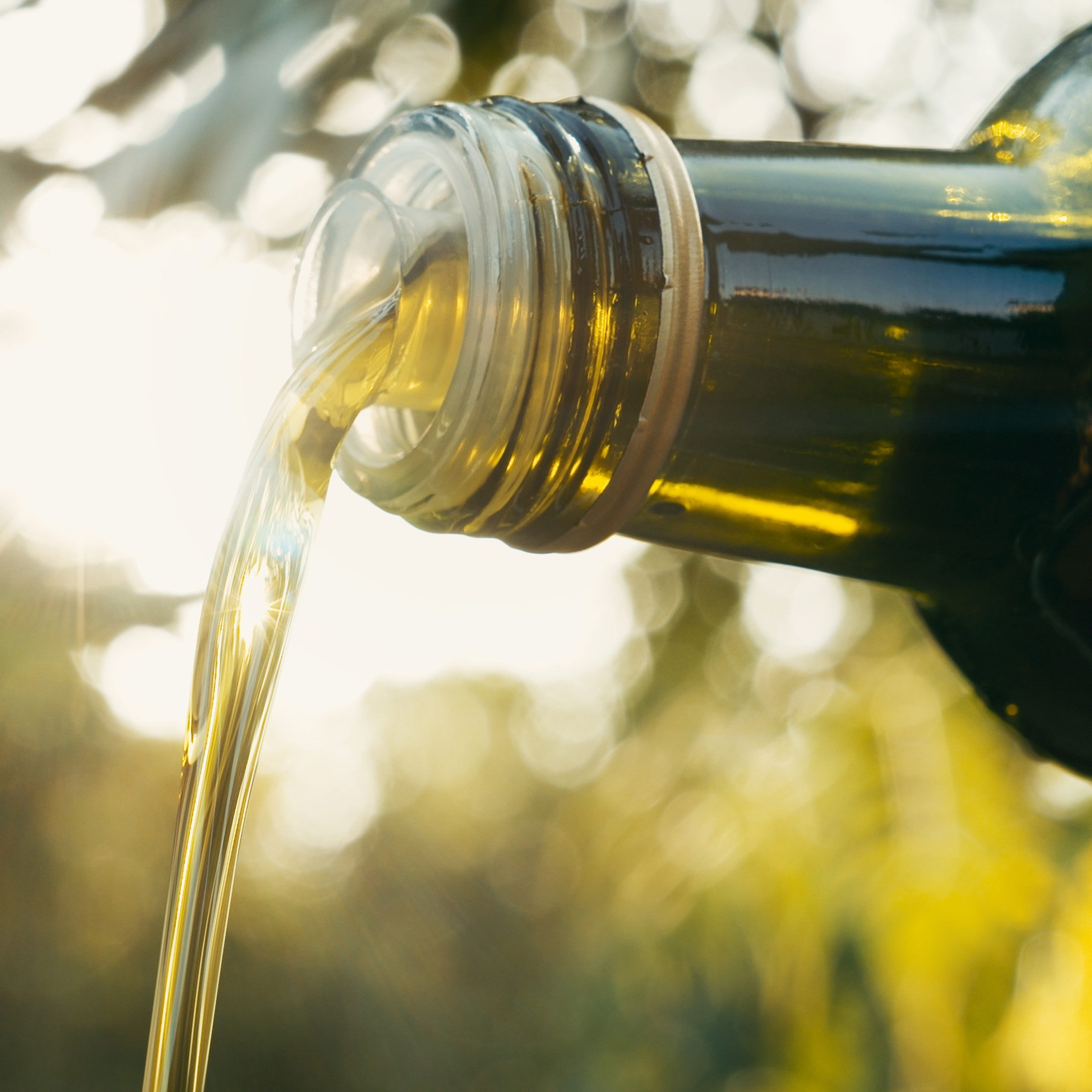 shutterstock_2486392249